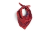 AD858-D281-AB27_HAY Dogs Scarf red 01.jpg