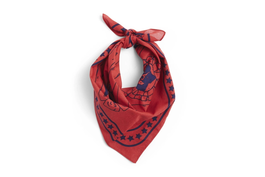 AD858-D281-AB27_HAY Dogs Scarf red 01.jpg