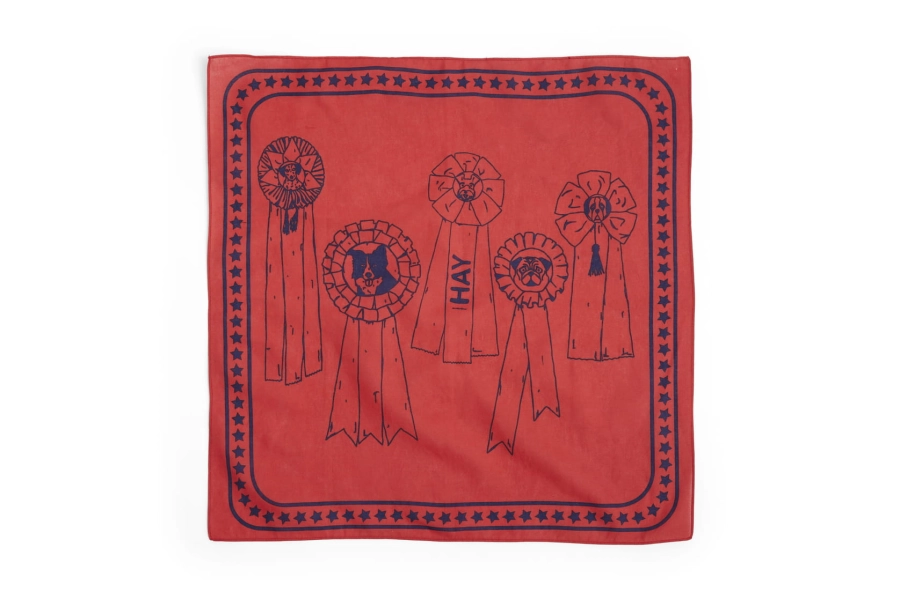 AD858-D281-AB27_HAY Dogs Scarf red.jpg