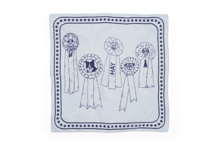 AD858-D281-AB84_HAY Dogs Scarf light blue.jpg
