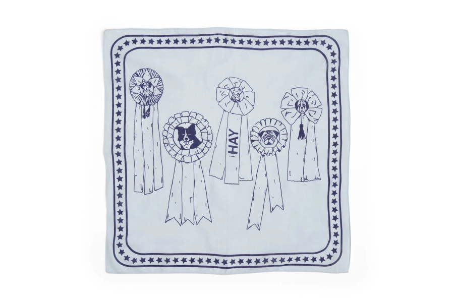 AD858-D281-AB84_HAY Dogs Scarf light blue.jpg