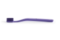 AD570-A945_Tann Toothbrush purple.jpg
