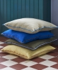 Outline Cushion vivid blue_lemon sorbet_grey blue_moss.jpg