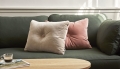 Dot Cushion Soft 1 dot rose_Dot Cushion Soft 1 dot beige_CAN 2 Seater Steelcut 975.jpg