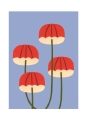 Makitoy_Umbrella_Mushrooms_Product_Low_Res-800x1100.jpg