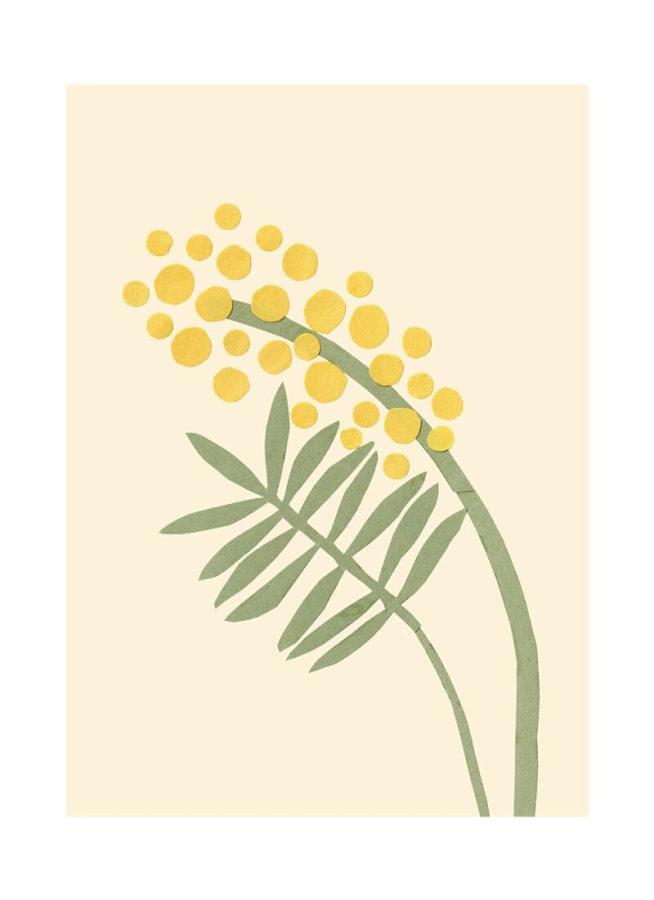Makitoy_Acacia_Product_Low_Res-800x1100.jpg