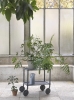 flow-trolley-2-layer-blue-grey-tub-jug-muuto-org_3.jpg