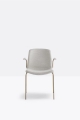 Tweet-895-2_OA-G101._low.jpg