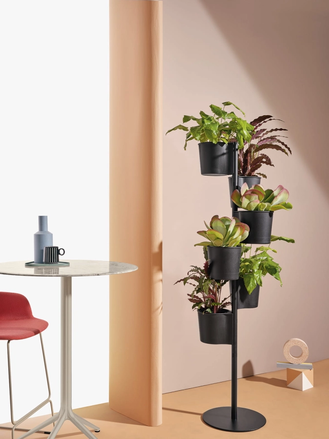 Hevea_ambientata_10.2022(2)_low.jpg