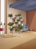 Hevea_ambientata_10.2022_low.jpg