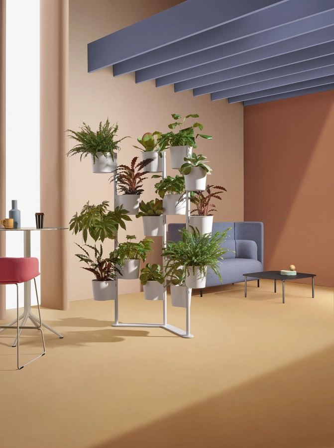 Hevea_ambientata_10.2022_low.jpg