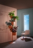 Hevea_ambientata_2022_low.jpg