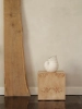 1104270162_11.jpg.webp