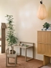 1104270230_10.jpg.webp