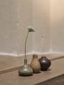 1104269711_10.jpg.webp