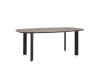 Fritz Hansen_Analog_JH63_Jaime Hayon_Walnut_black_black.jpg