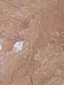 1104270181_2.png.webp