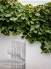 montana_aj_house_pantonova_outdoor_detail_h.webp