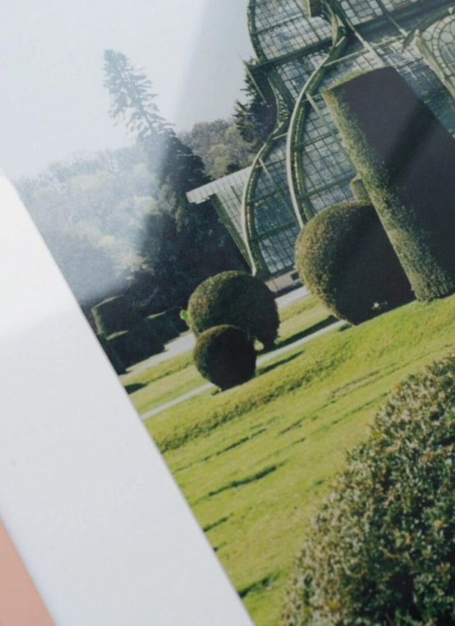 Laura_Short_Topiary_Close_Up_Low_Res-800x1100.jpg