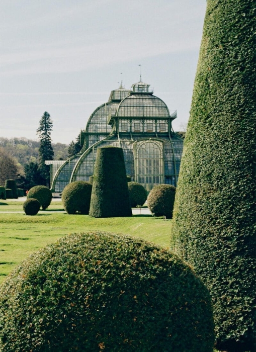Laura_Short_Topiary_Product_Low_Res-800x1100.jpg