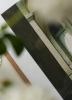 Laura_Short_Morning_Sun_Close_Up_Low_Res-800x1100.jpg
