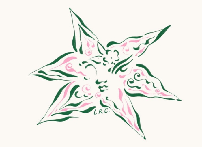 Lucrecia_Rey_Caro_Eternal_Star_Product_Low_Res-800x582.jpg