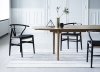 Wegner ikony designu