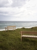 GL101_teak_untreated_V6-medium.jpg