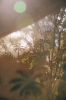 240622_hkliving_satuna_teaser-2.jpg