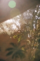 240622_hkliving_satuna_teaser-2.jpg