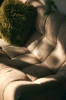 2425_collection_hkliving_shoot_1_lr_-752.jpg