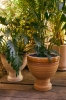 2425_collection_hkliving_shoot_1_lr_-667.jpg