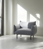 2022_Ark_Armchair_Black_Steel_Divina_MD_ 733_01.jpg