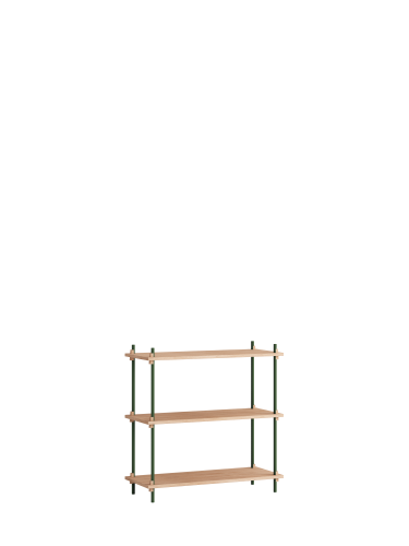 MOEBE_Shelving-System_NB_S.85.1.A_Oak_Pine-Green_High-Res.png