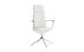 710595_Off_Armchair_High__4L_Alu_With_Cushion_Hallingdal_110_01.jpg
