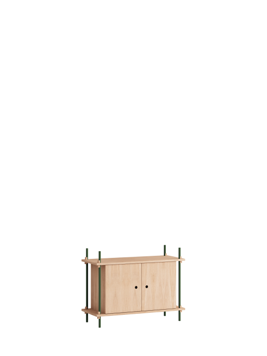 MOEBE_Shelving-System_NB_S.65.1.B_Oak_Pine-Green_High-Res.png