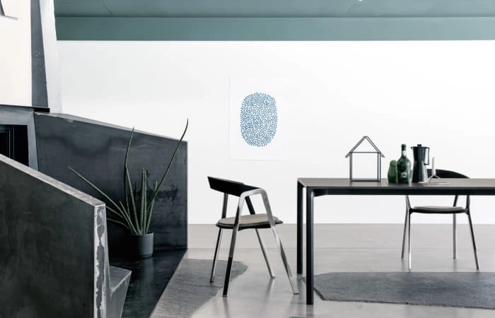 CompasShinyWCushion_BoiaccaWood-700x450.jpg