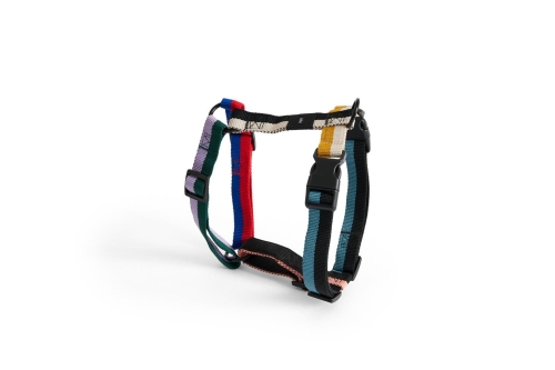 AE931-A602-AG29_HAY Dogs Harness M multi colour.jpg