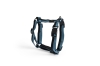 AE931-A602-AP74_HAY Dogs Harness M blue_black.jpg