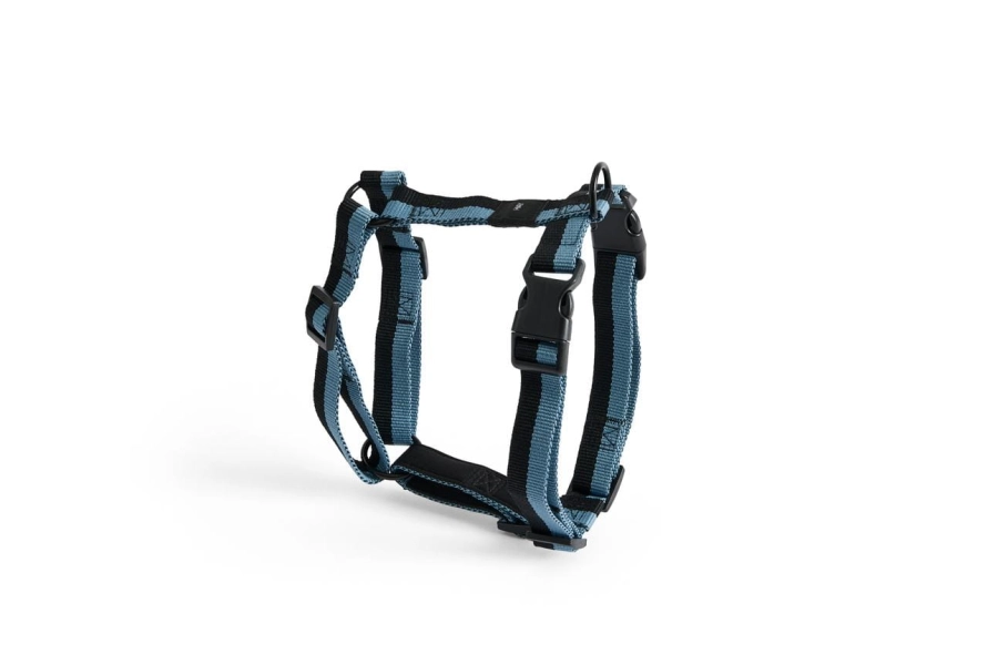 AE931-A602-AP74_HAY Dogs Harness M blue_black.jpg