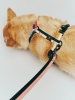HAY Dogs Harness M multi colour_HAY Dogs Leash Flat M-L pink and black.jpg