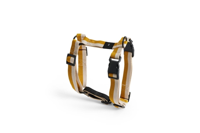 AE931-A602-AS16_HAY Dogs Harness M off-white_ochre.jpg