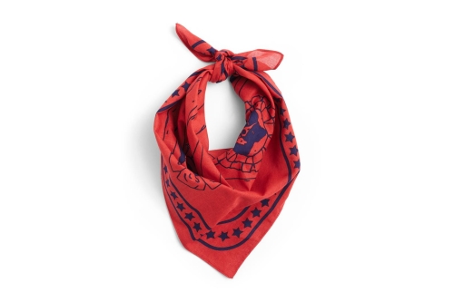 AE930-D281-AB27_HAY Dogs Scarf Recycled red 01.jpg