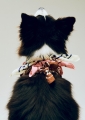 HAY Dogs Scarf Recycled 04.jpg