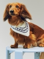 HAY Dogs Scarf Recycled off-white with blue.jpg