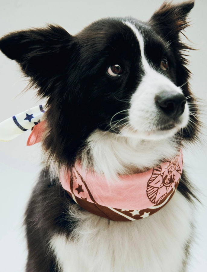 HAY Dogs Scarf Recycled 03.jpg