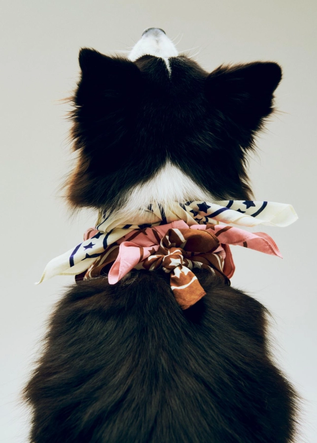 HAY Dogs Scarf Recycled 04.jpg