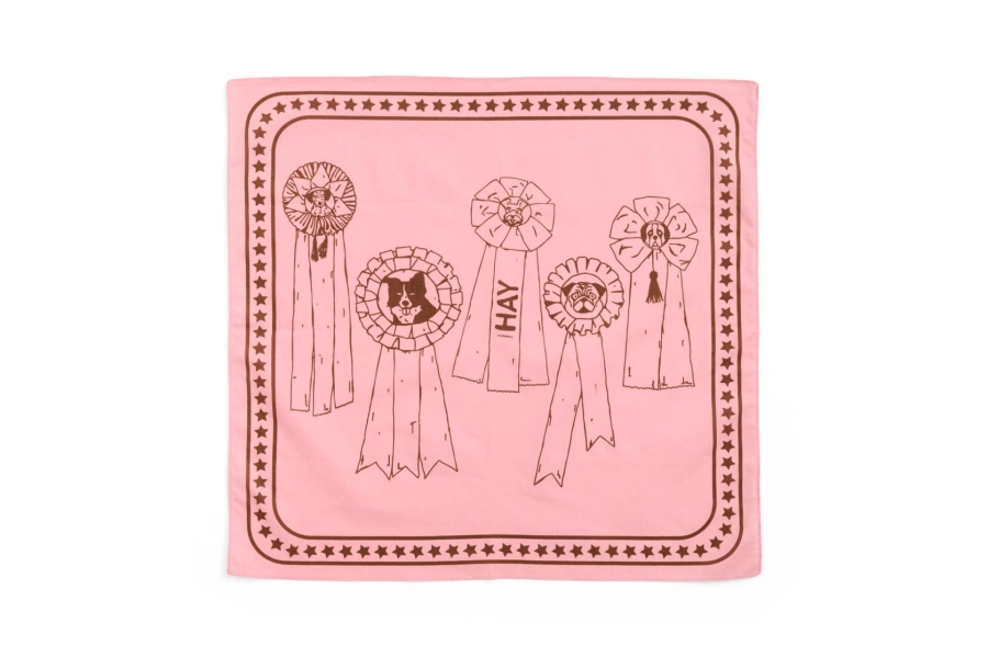 AE930-D281-AF07_HAY Dogs Scarf Recycled pink.jpg