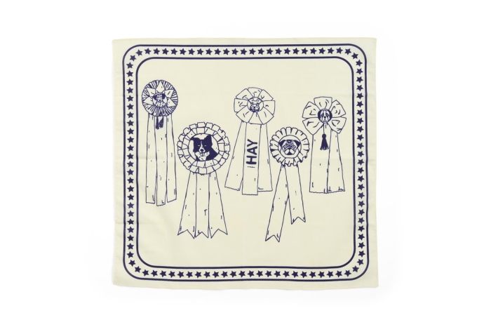 AE930-D281-AP76_HAY Dogs Scarf Recycled off-white with blue.jpg