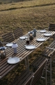 Traverse Table heat treated oiled ash_PC Portable fall green_slate blue_Indian Steel Pitcher xs_Barro Plate off-white.jpg